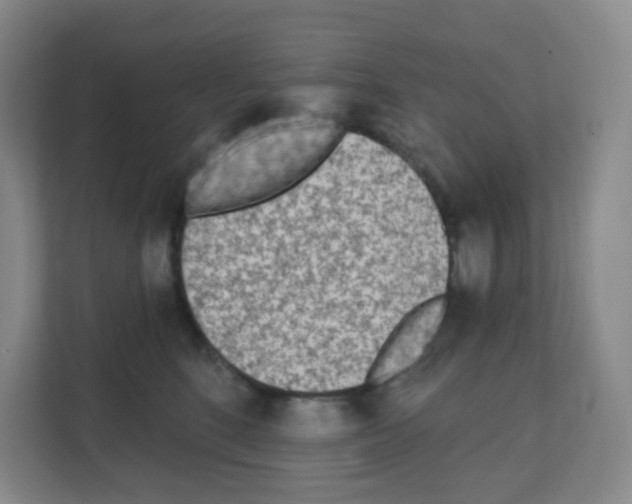 X0000111130520200908111041