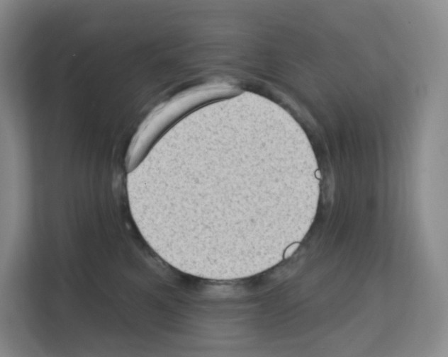 X0000111130521200908111041