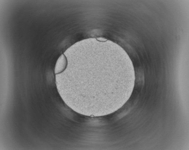 X0000111130523200908111041