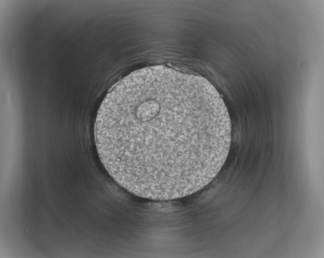 X0000111130524200908111041