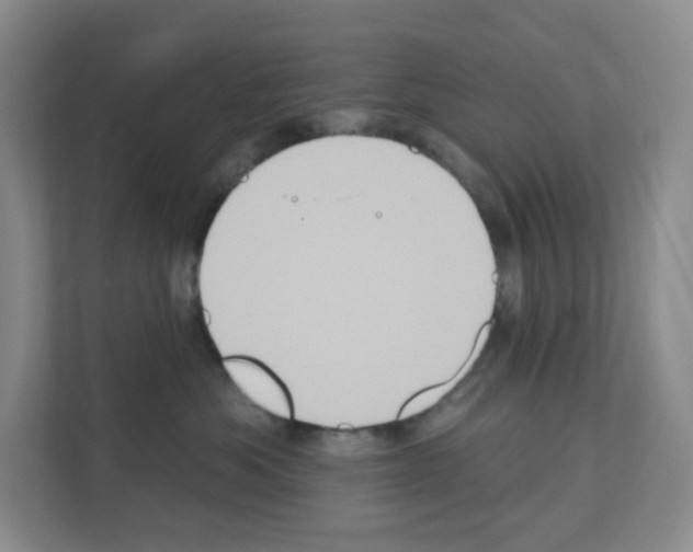 X0000111130525200908111041