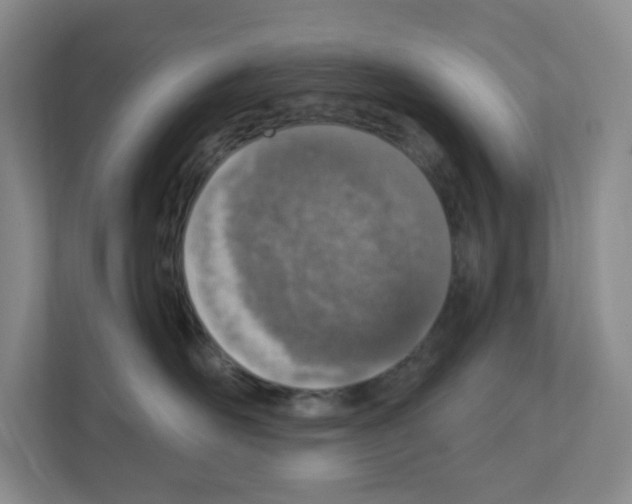 X0000111130526200908111041