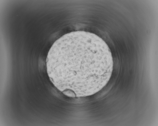 X0000111130527200908111041