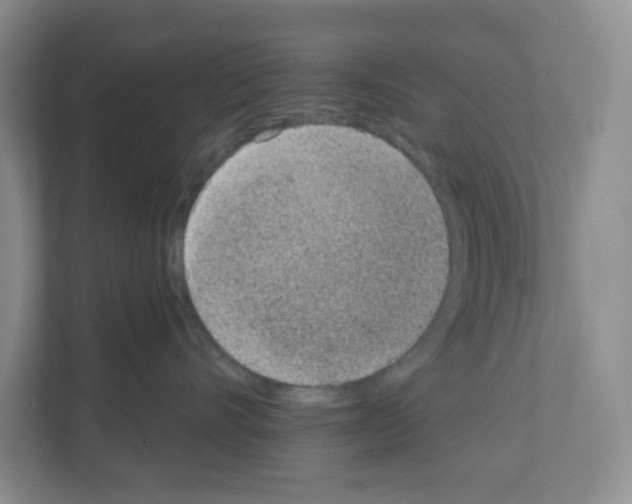 X0000111130528200908111041