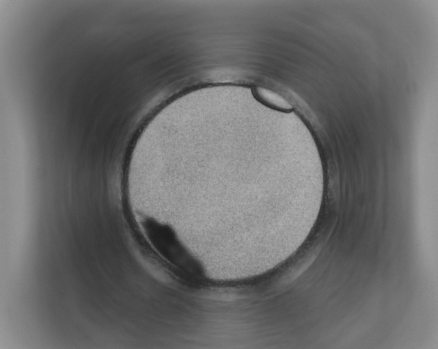 X0000111130530200908111041