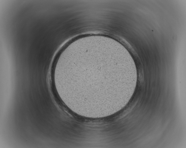 X0000111130532200908111041