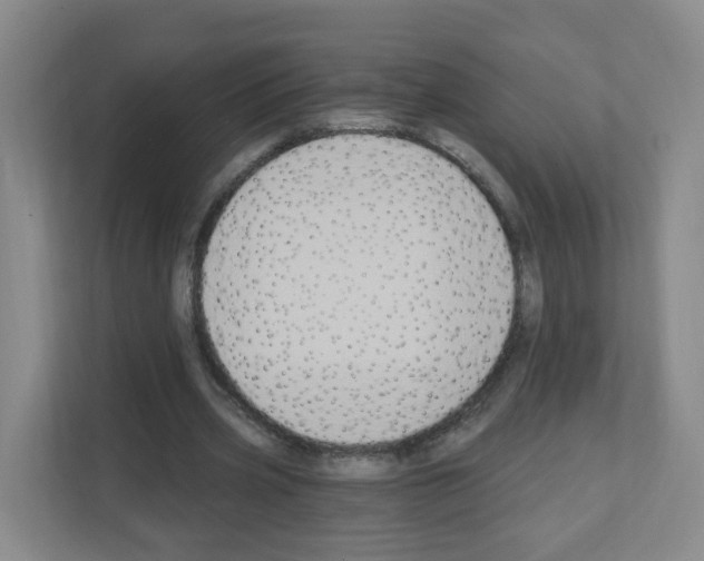 X0000111130533200908111041