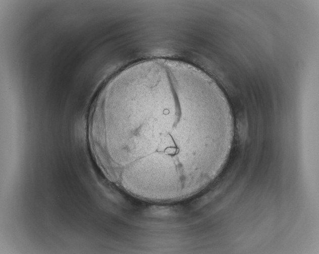 X0000111130534200908111041