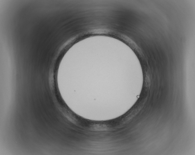 X0000111130535200908111041