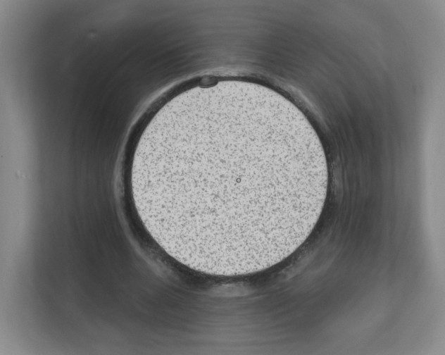 X0000111130536200908111041