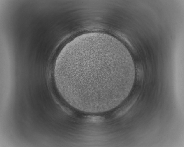 X0000111130539200908111041