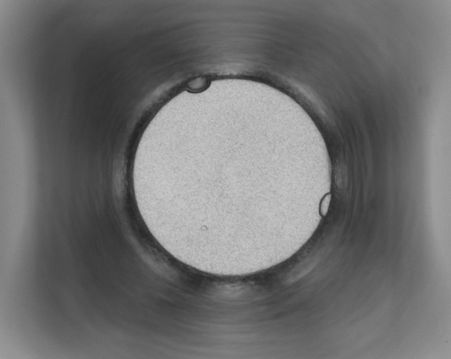 X0000111130540200908111041