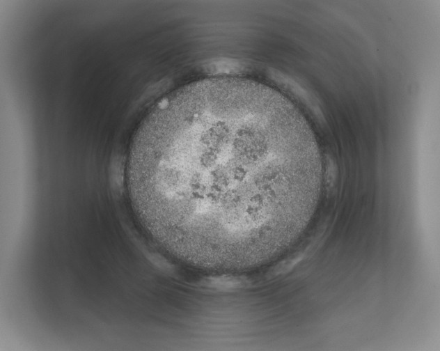 X0000111130545200908111041