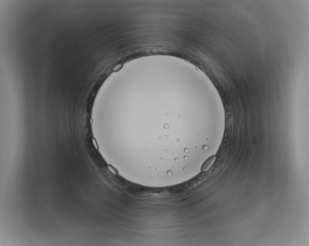X0000111130548200908111041