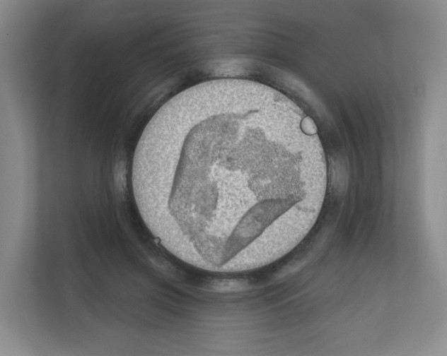 X0000111130549200908111041