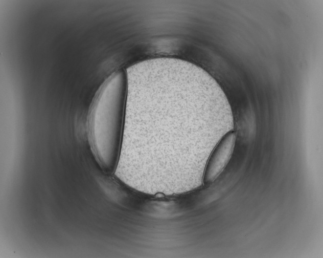 X0000111130552200908111041
