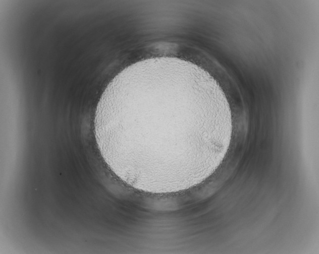 X0000111130553200908111041