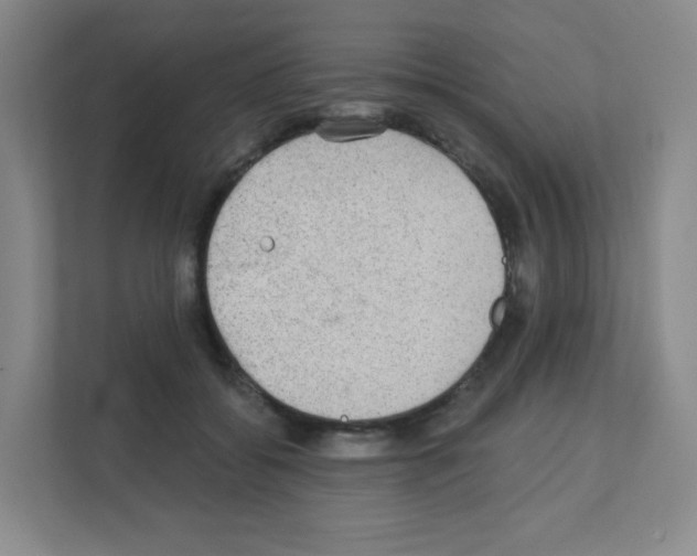 X0000111130556200908111041