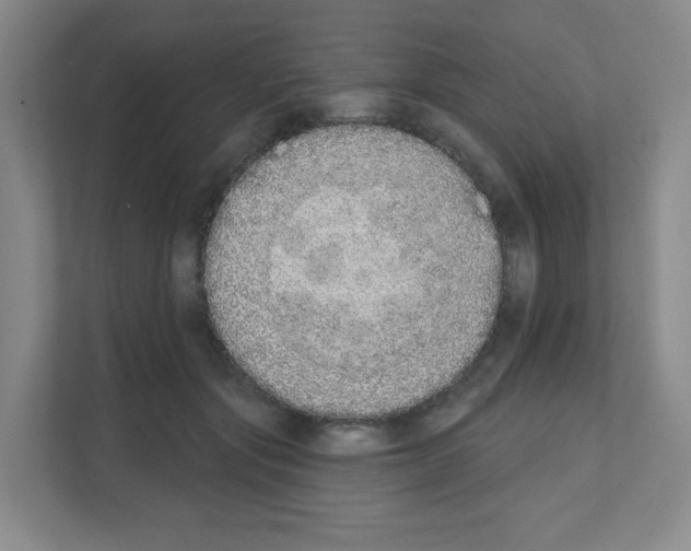 X0000111130557200908111041