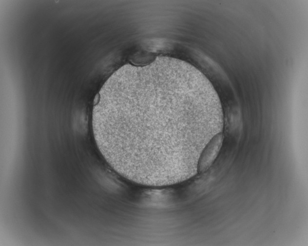 X0000111130558200908111041