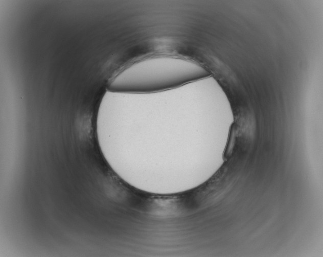 X0000111130560200908111041