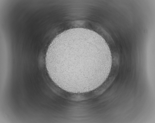 X0000111130561200908111041