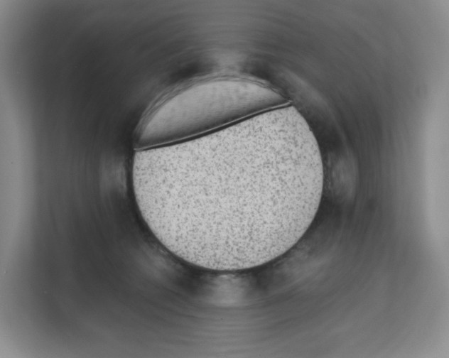 X0000111130562200908111041