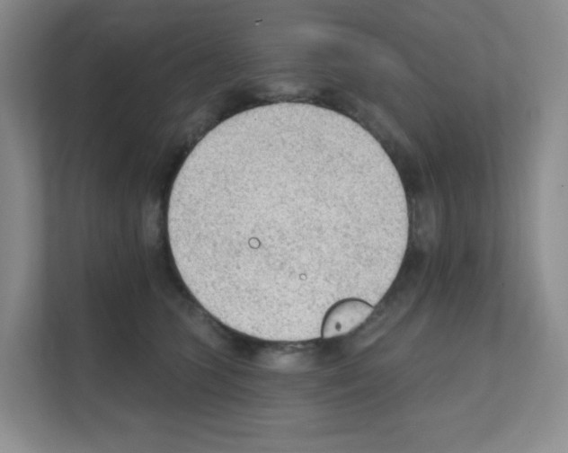 X0000111130563200908111041