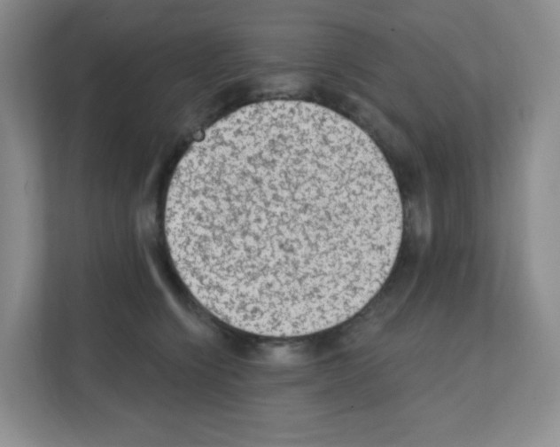 X0000111130564200908111041