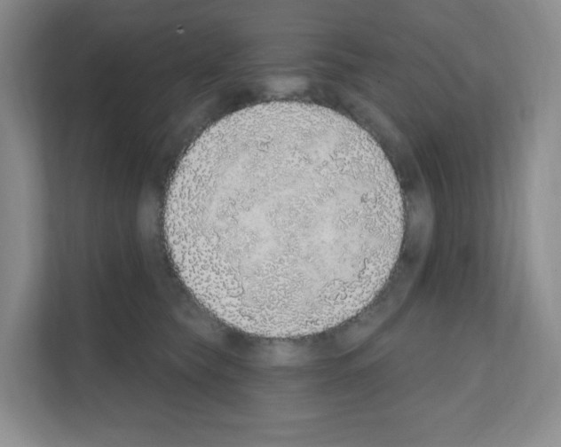 X0000111130565200908111041