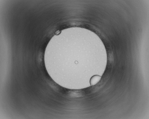 X0000111130567200908111041