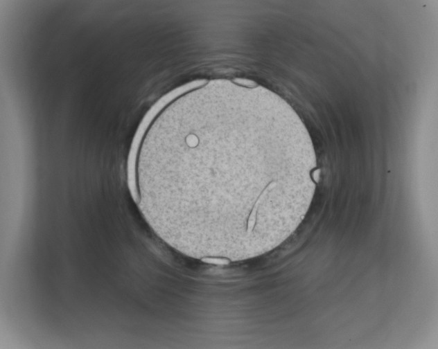 X0000111130568200908111041