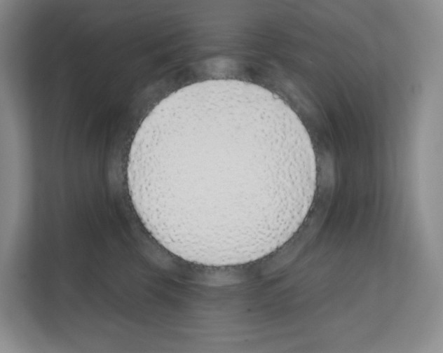 X0000111130569200908111041