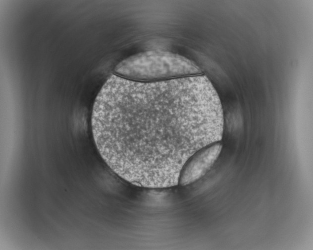 X0000111130570200908111041