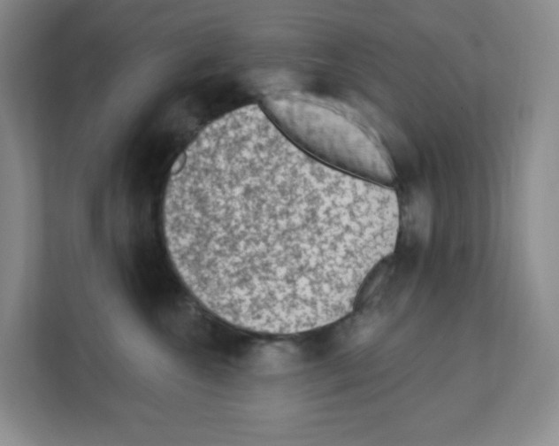 X0000111130572200908111041