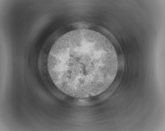 X0000111130573200908111041
