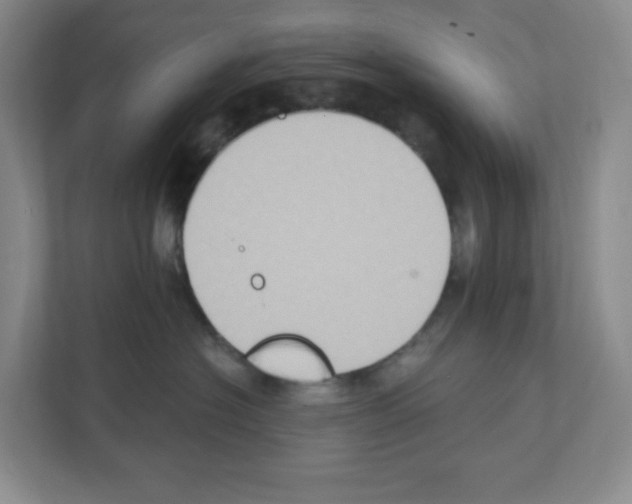 X0000111130574200908111041
