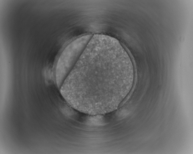 X0000111130576200908111041