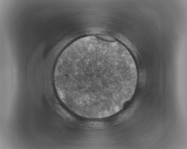 X0000111130577200908111041