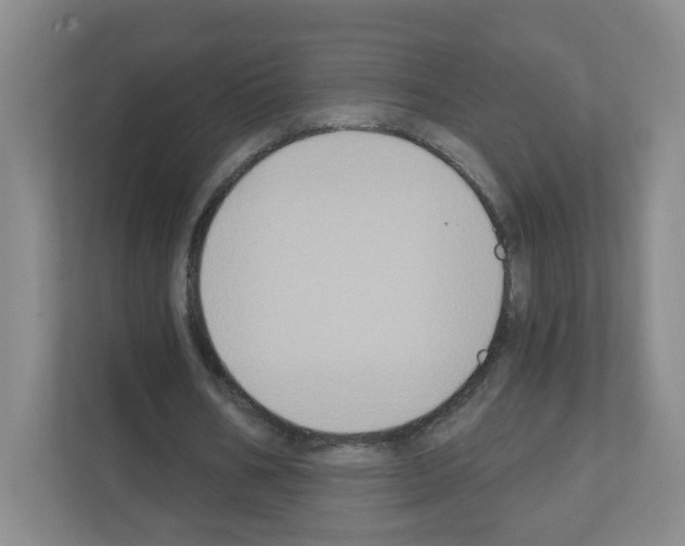 X0000111130578200908111041