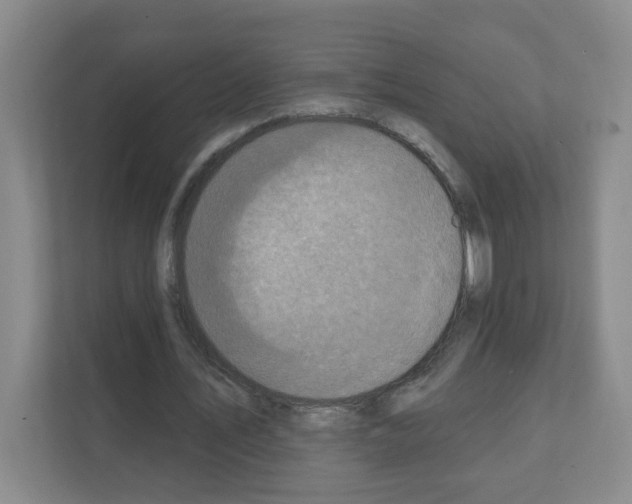 X0000111130579200908111041