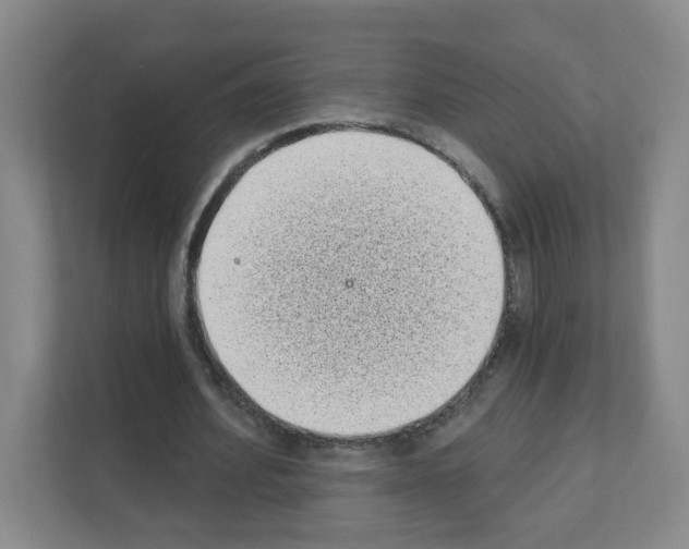 X0000111130580200908111041