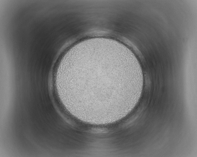 X0000111130582200908111041