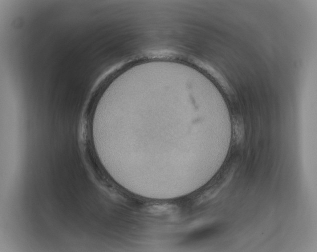 X0000111130583200908111041