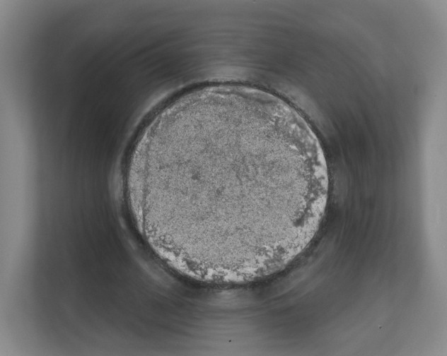 X0000111130584200908111041