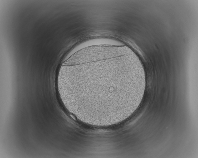 X0000111130585200908111040