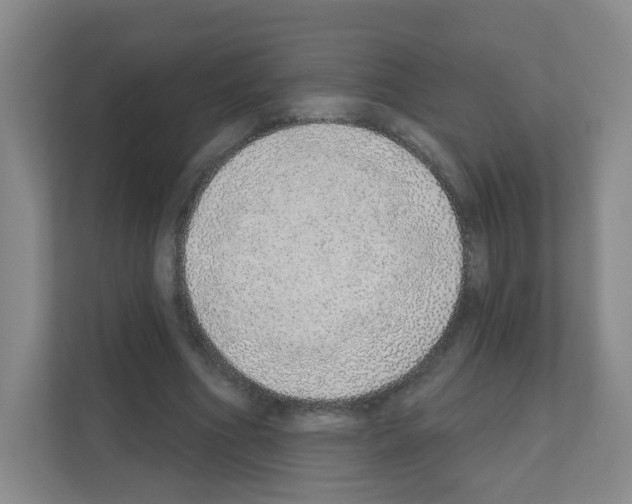 X0000111130586200908111040