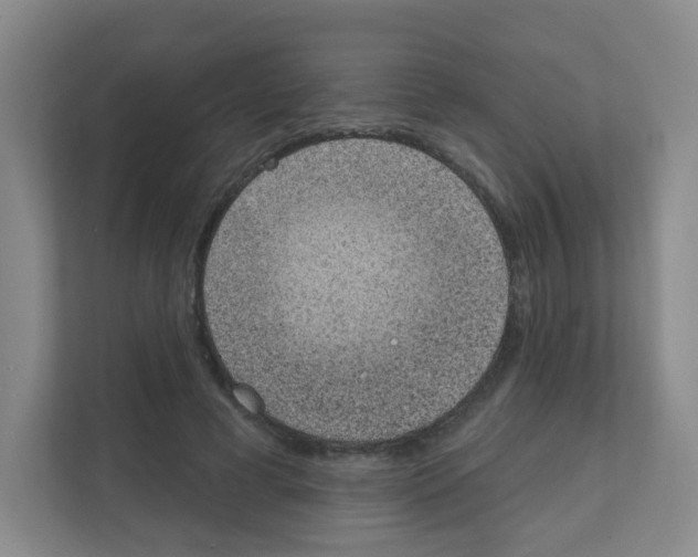 X0000111130593200908111040