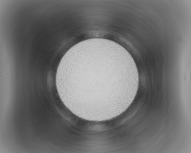 X0000111130594200908111040