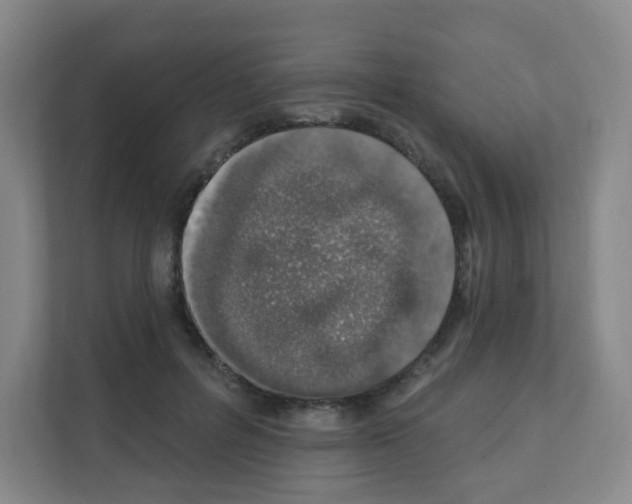 X0000111130600200908111040
